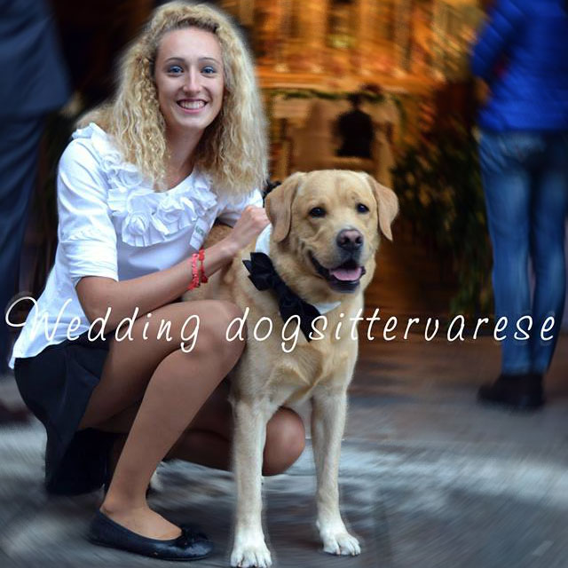 Wedding Dog Sitter Varese
