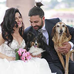 A SPOSI IN, DogLand Clamp Wedding Dog Sitter