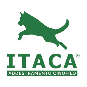 addestramento cinofilo per matrimonio