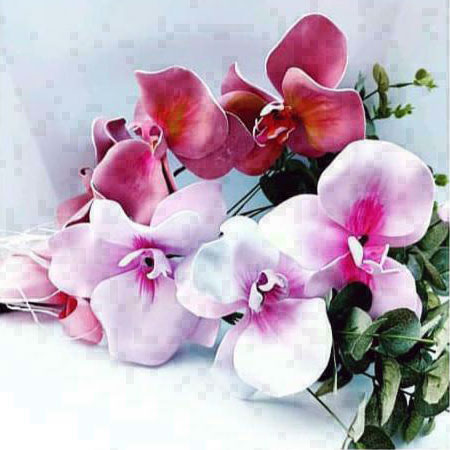Corso Orchidee a Villa Bernocchi